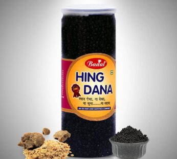 BADAL HING DANA 240G