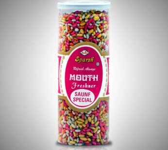 BADAL SPECIAL SAUNF MIX 230G