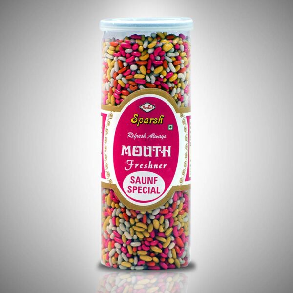 BADAL SPECIAL SAUNF MIX 230G