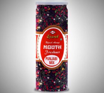 SPARSH PUNJABI MIX SAUNF  230G
