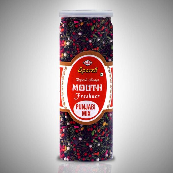 SPARSH PUNJABI MIX SAUNF  230G