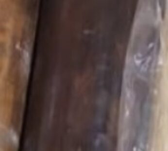 BELAN