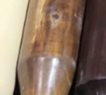 BELAN