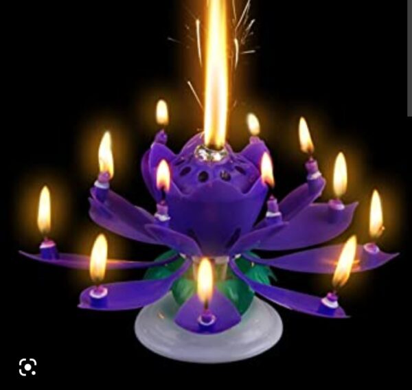 REVOLVING MUSICAL CANDLE